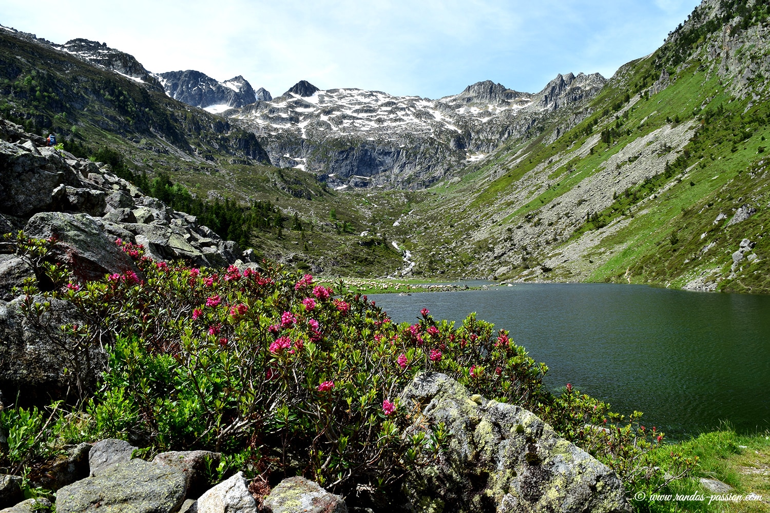 Lac de Plaa de Prat- Val d'Azun -Hautes-Pyrénées