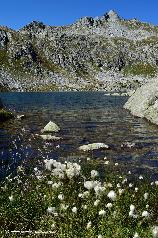 Le lac Gelato - Dolomiti de Brenta