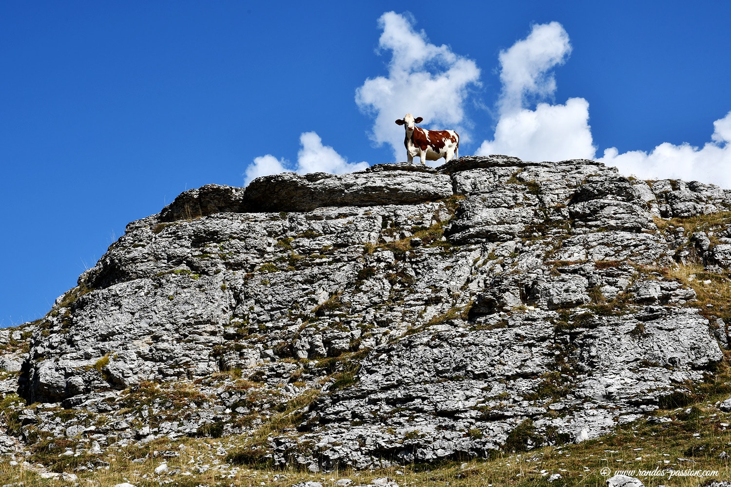 Randonnée sur la Montagne de Beure - Vercors