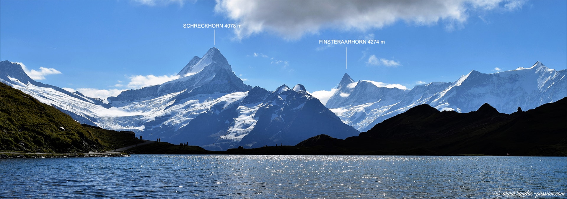 Finsteraahorn et Schreckhorn depuis le lac de Bachalp