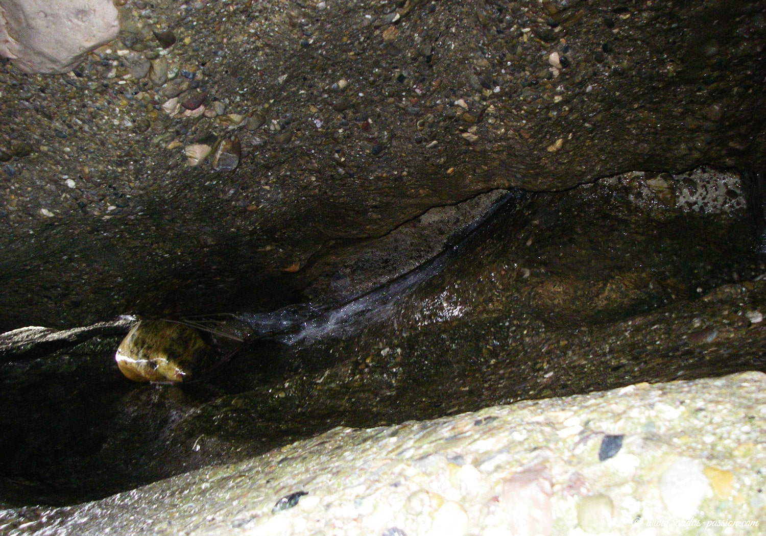 Canyoning Sierra de Guara - Le barranco de Lumos