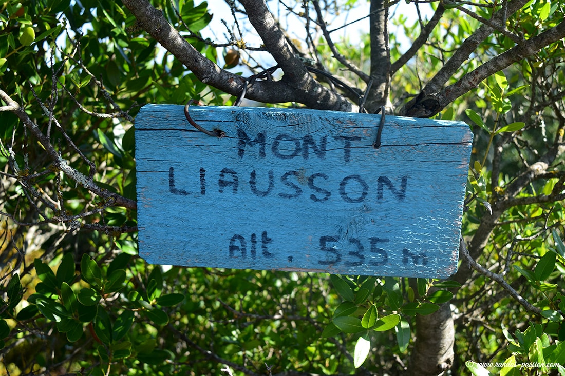 Sommet du Mont Liausson