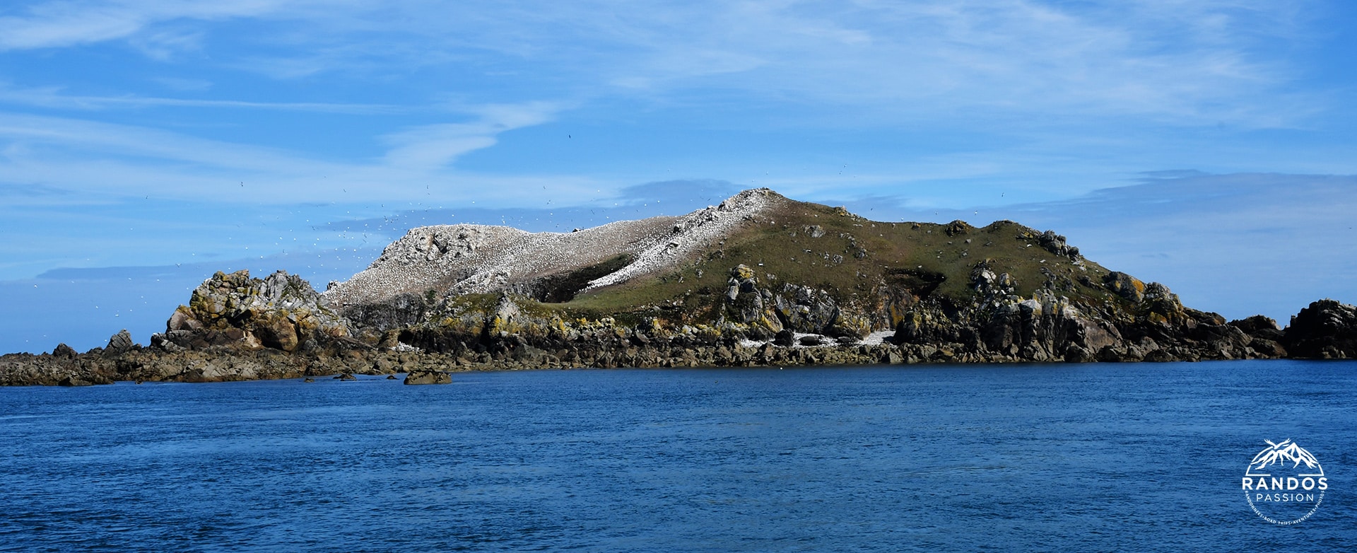 Île Rouzic - Archipel des Sept Îles