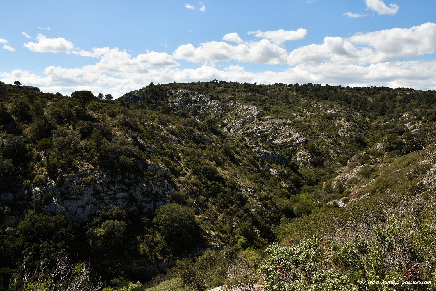 Boucle des Gorges du Régalon dans le Vaucluse