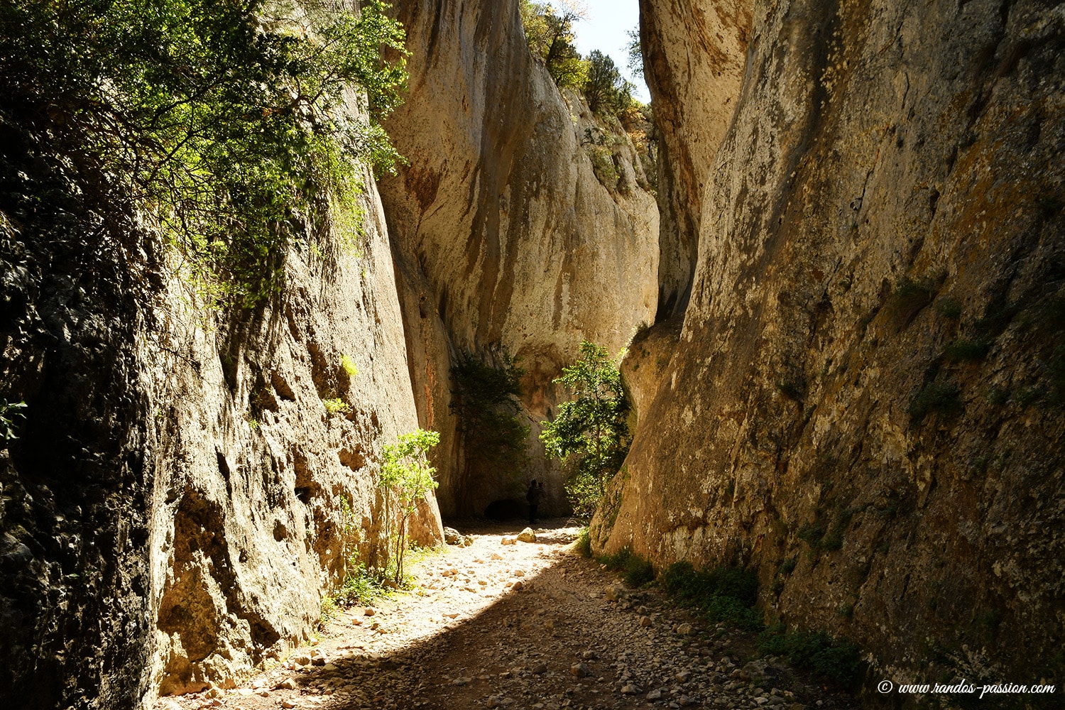 Les gorges du Régalon - Vaucluse