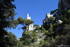 Dans la descente vers la calanque d'En-Vau