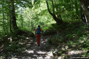 Le sentier du chalet de Boret