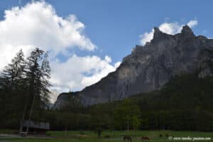 La Corne de Chamois