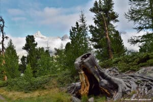 Sur le sentier de Riffelalp à Grunsee