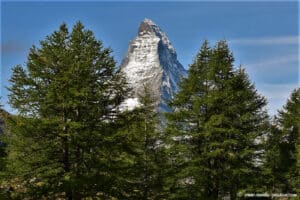 Vue depuis le lac de Grindjisee