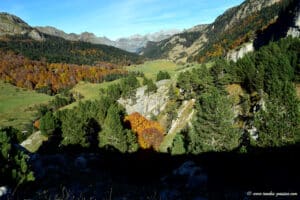 Le plateau de Bious en automne