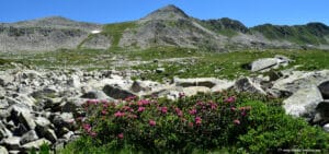 Le Tuc de Rosari - Val d'Aran