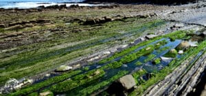 Le flysch de la plage de Sakoneta entre Zumaia et Deba