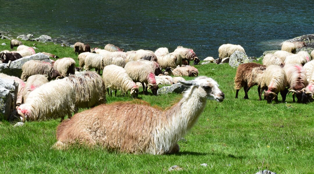 Le lac de Plaa de Prat et les lacs de Liantran