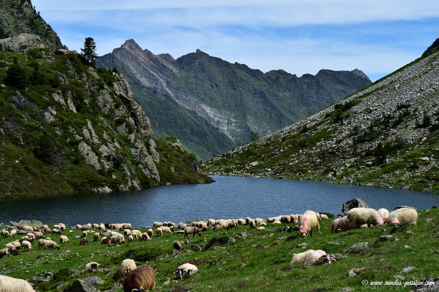 Lac de Plaa de Prat- Val d'Azun -Hautes-Pyrénées