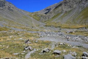 Au replat d'Amont - Massif du Goléon