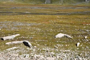 Au replat d'Amont - Massif du Goléon