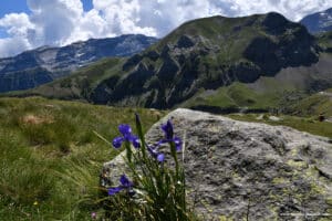 Le plateau de la Sierra de Liena - Aragon