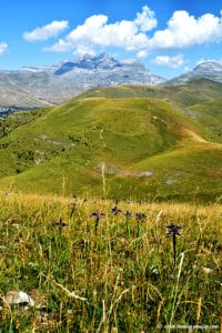 Randonnée aux Sestrales