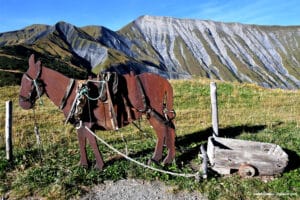 Sur le sentier de découverte des Aiguilles d'Arves