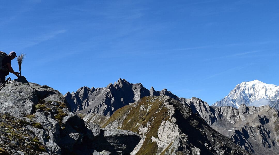 La Fenêtre de Ferret et la Tête de Fenêtre depuis le col du Grand-Saint-Bernard