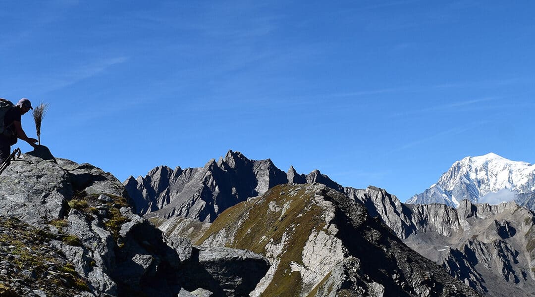 La Fenêtre de Ferret et la Tête de Fenêtre depuis le col du Grand-Saint-Bernard