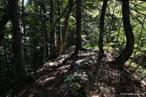 Montée au pic de l'Aubeyron