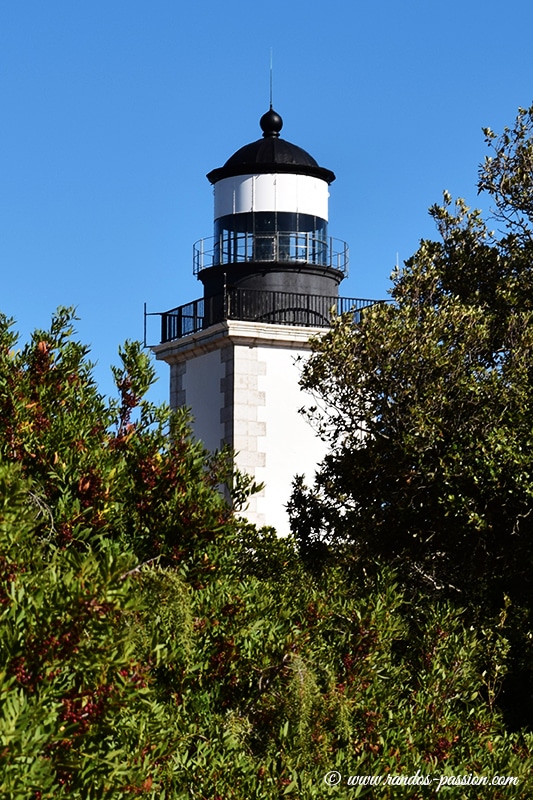 Le phare du Cap Camarat