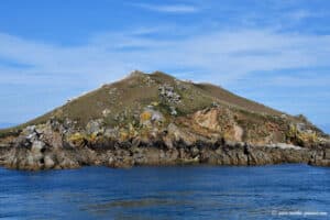 Île Rouzic - Archipel des Sept Îles