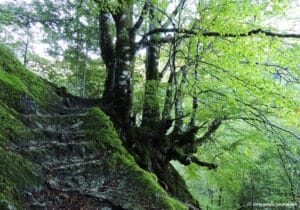 Randonnée en Ariège - Boucle étang de la Hilette, étang d'Alet