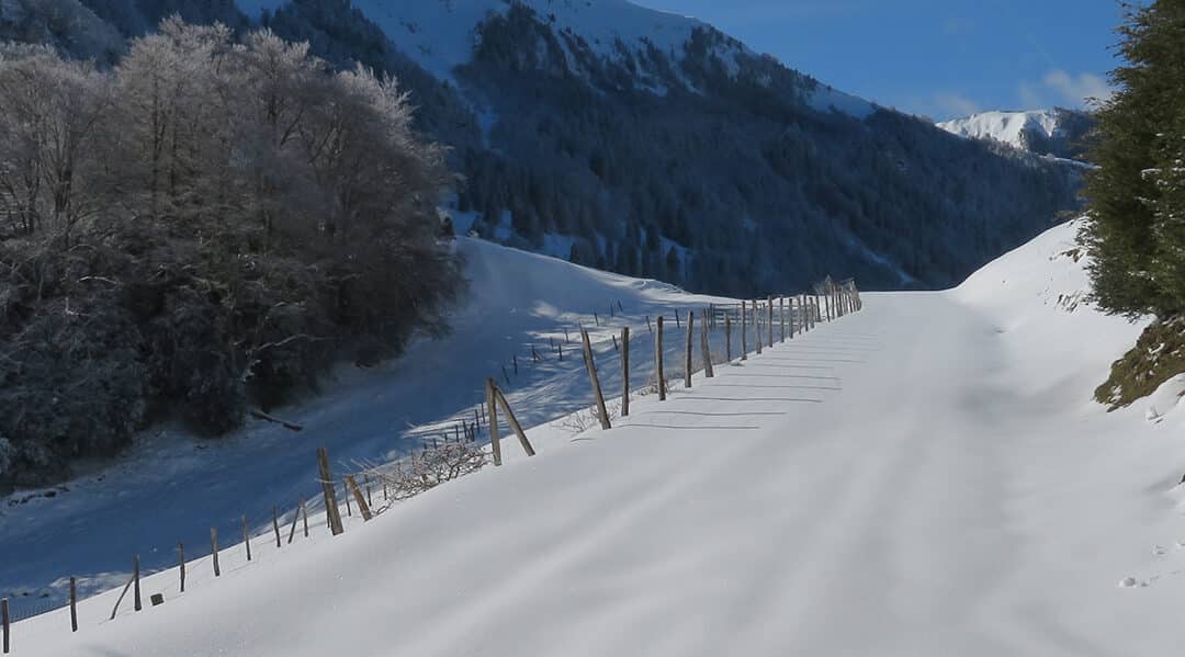 Le sentier du Pacte des Loups en raquettes