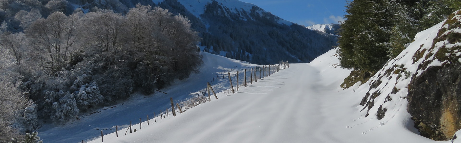 Le sentier du Pacte des Loups en hiver