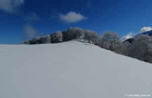 Le sentier du Pacte des Loups en hiver