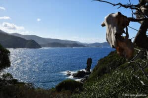 Randonnée au Capo Rosso - Corse-du-Sud