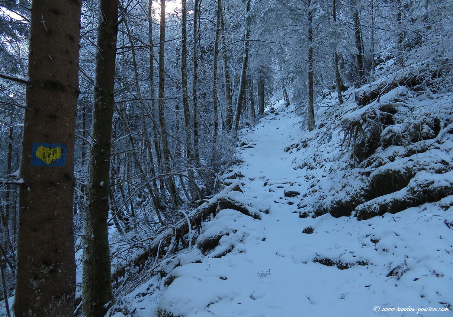 Le sentier du Pacte des Loups en hiver