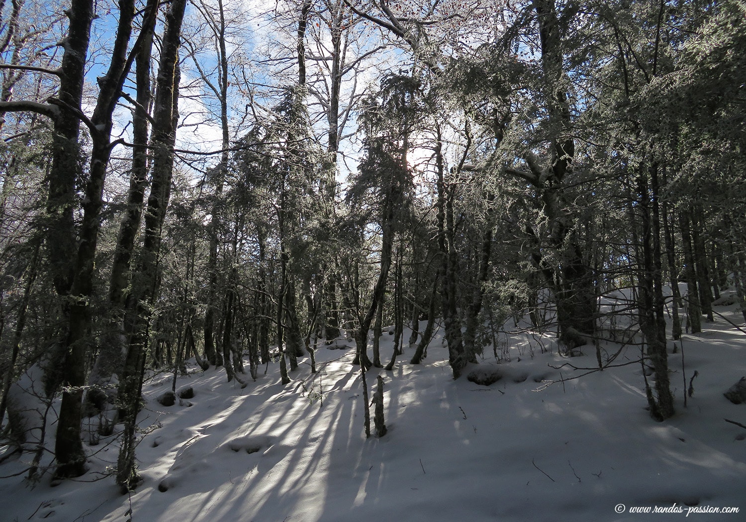 Le sentier du Pacte des Loups (Baronnies)