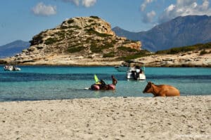 Le désert des Agriates: la plage du Lotu