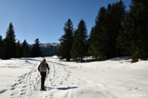 Randonnée en raquettes à la cabane d'Ichéus - Vallée d'Aspe