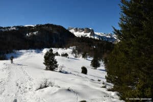 Randonnée en raquettes à la cabane d'Ichéus - Vallée d'Aspe