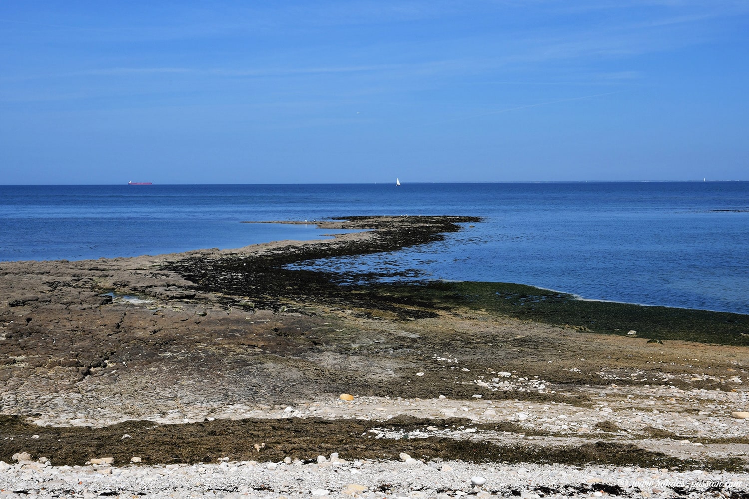 Randonnée à l'île d'Aix