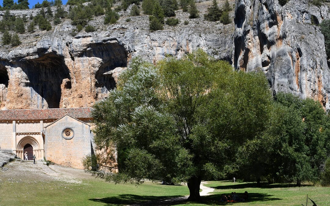 Parc naturel Cañón del Río Lobos