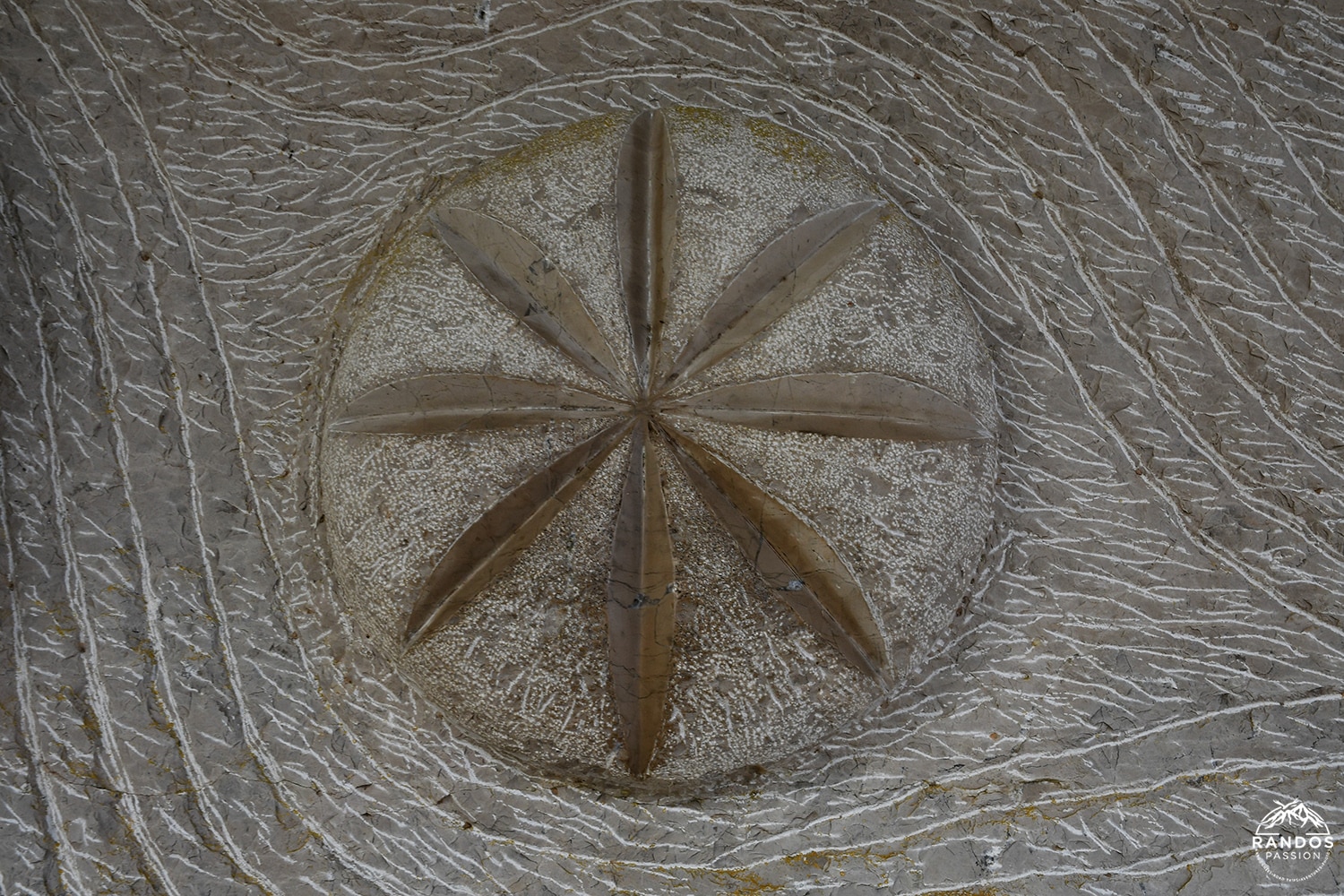 Gravure de Daniel Monnier au chemin de halage de Ganil La fresque de Daniel Monnier au chemin de halage de Ganil dans le Lot