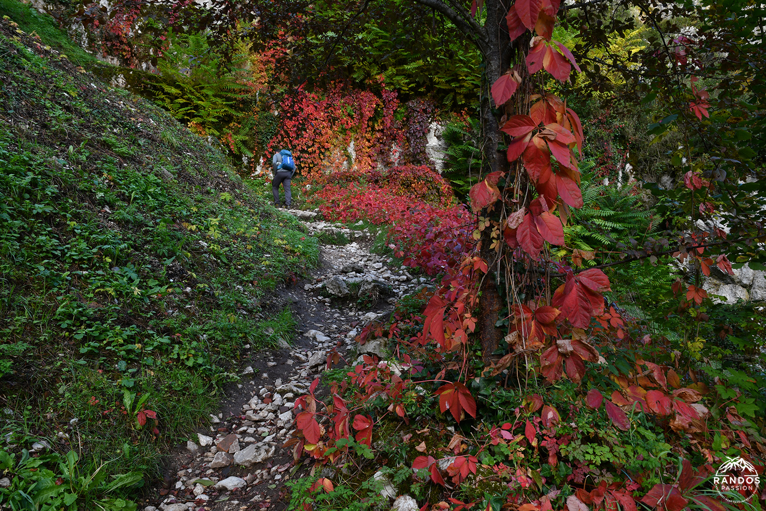 Randonnée à Saint-Cirq Lapopie Randonnée à Saint-Cirq Lapopie