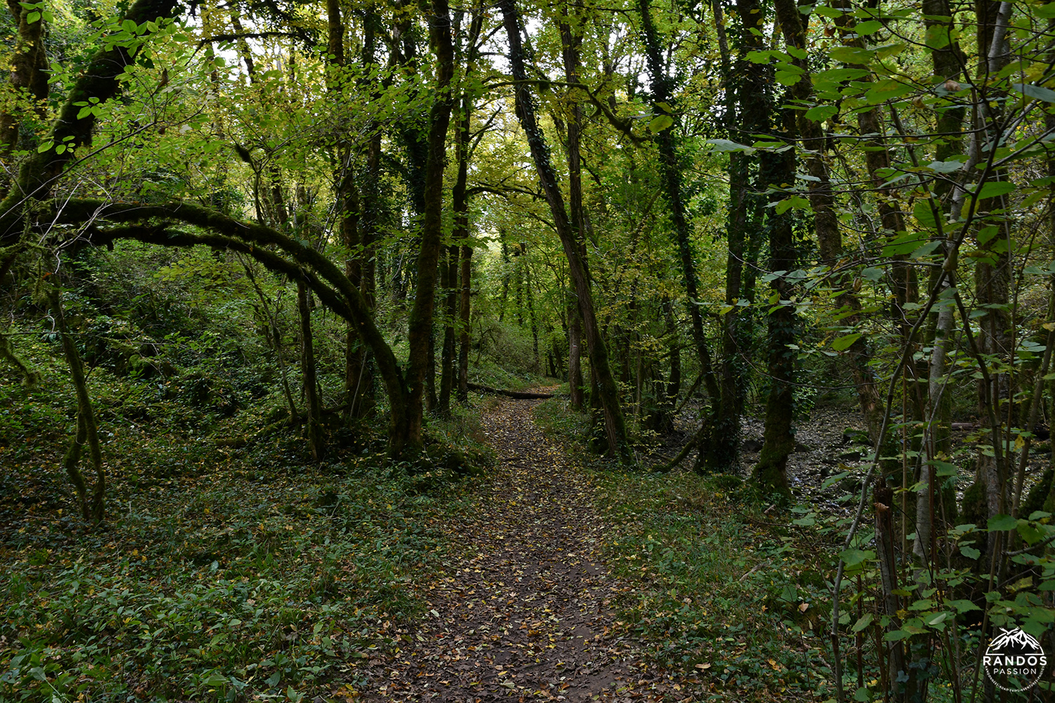 Randonnée dans le Lot - Circuit du moulin du Saut Randonnée dans le Lot - Circuit du moulin du Saut