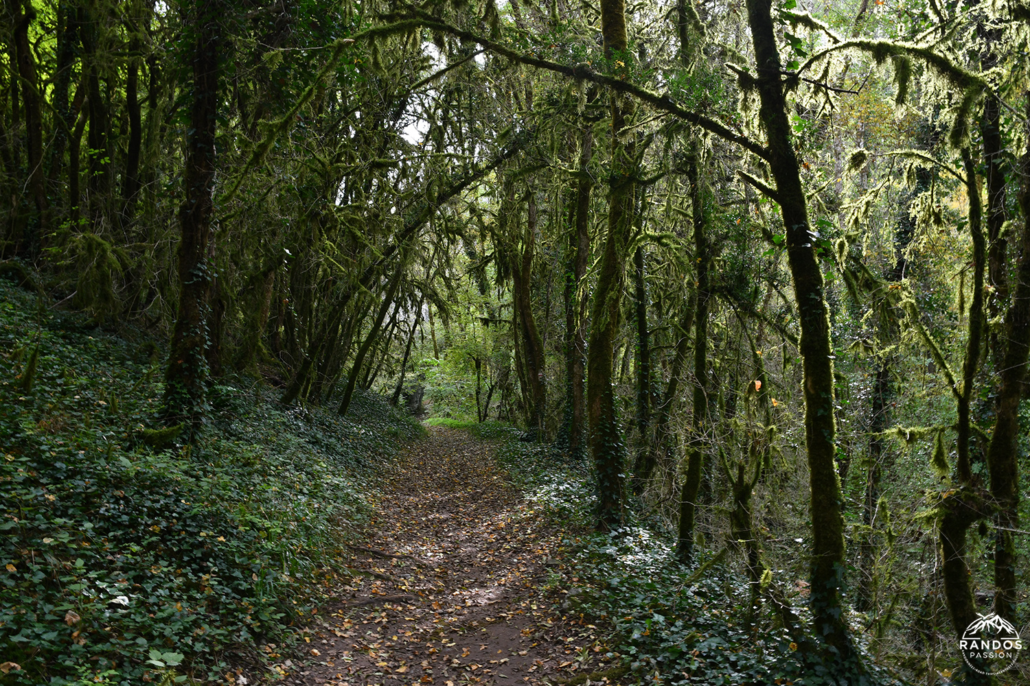 Randonnée dans le Lot - Le circuit du moulin du Saut Randonnée dans le Lot - Circuit du moulin du Saut