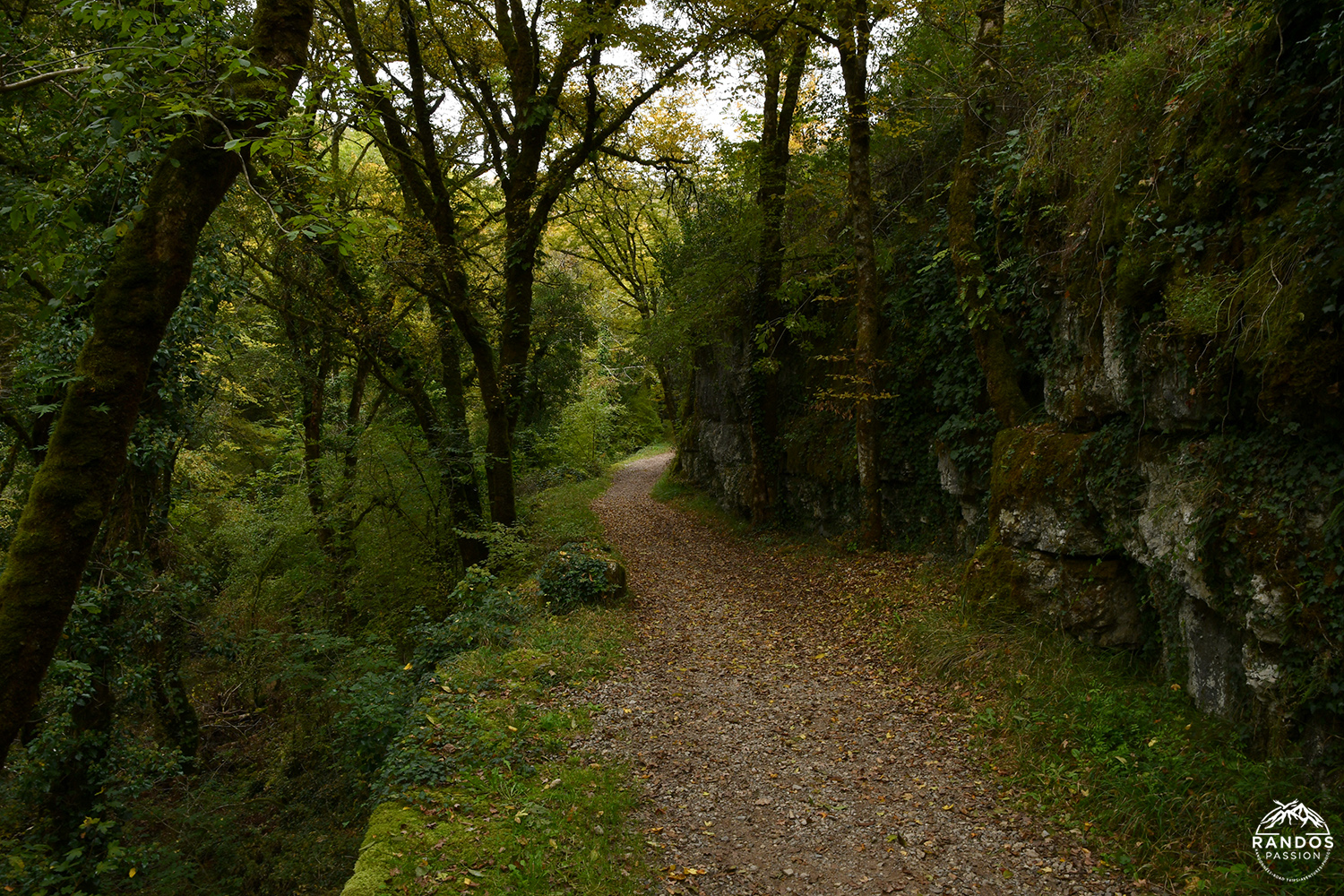 Randonnée le long de l'Alzou dans le Lot Randonnée le long de l'Alzou dans le Lot