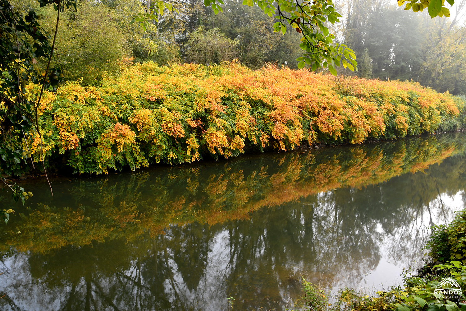 Randonnée le long du Lot Randonnée le long du Lot