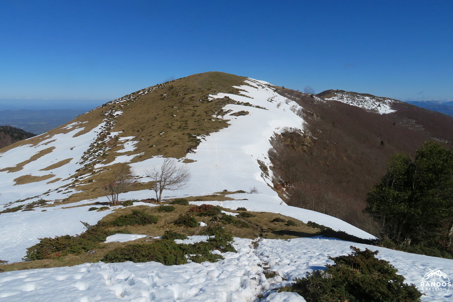 Les crêtes de Cournudère Les crêtes de Cournudère