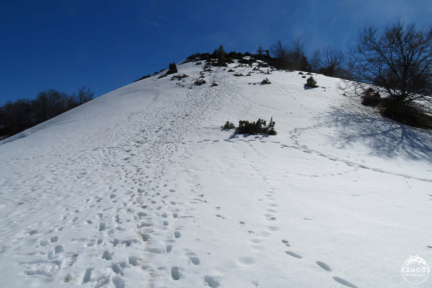 Pic de l'Aube ou Pic de Paloumère Pic de l'Aube ou Pic de Paloumère