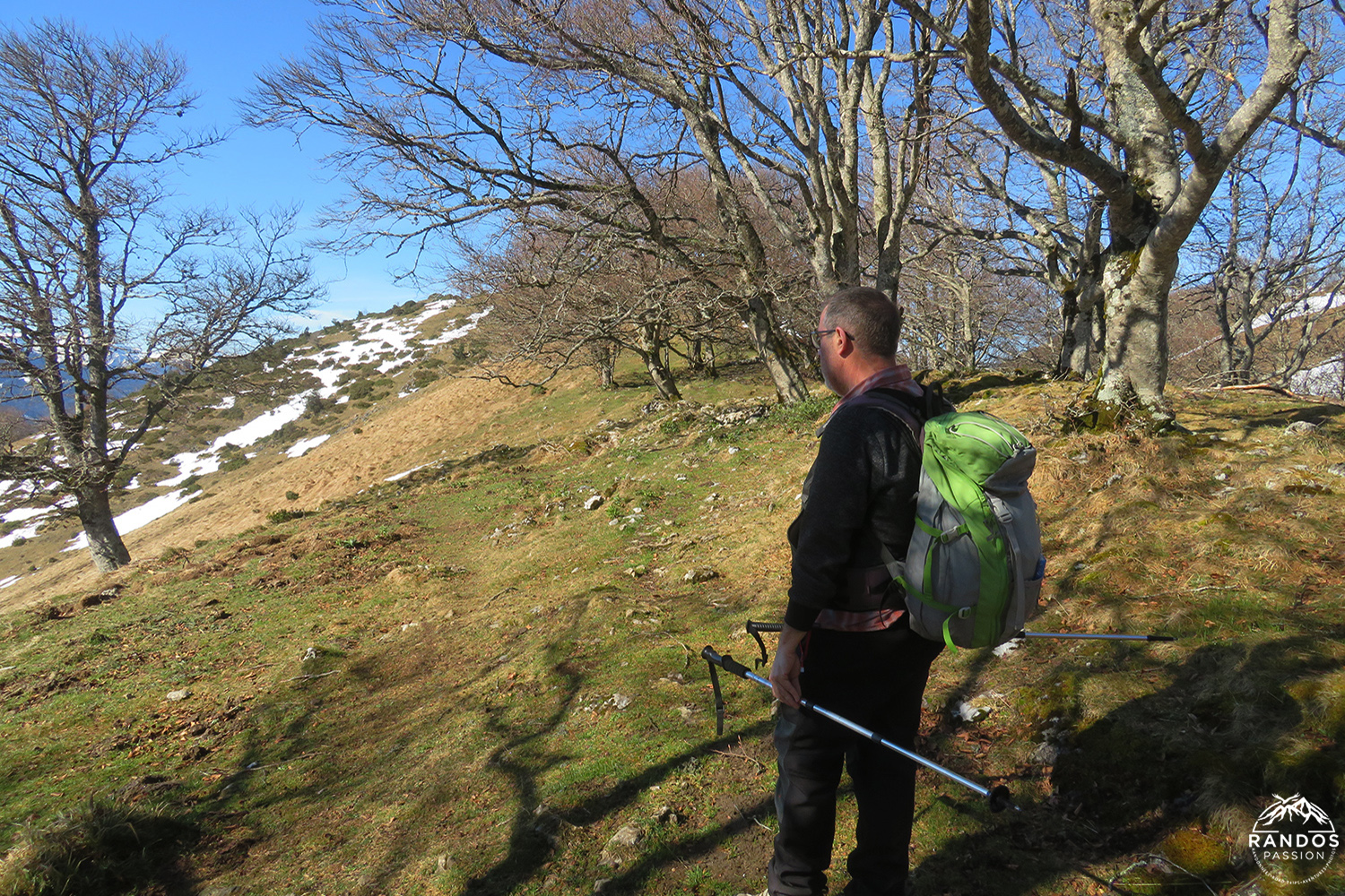 Randonnée au Pic de Paloumère Randonnée au Pic de Paloumère